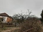 Olešná