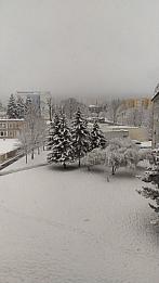 Jirkov
