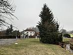 Olešná