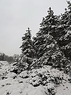 Chomutov