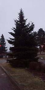 Lukovany