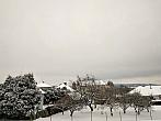 Pacov