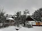 Olešná