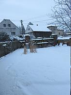 Třibřichy