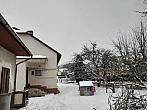 Olešná