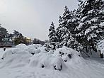 Chomutov