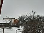 Olešná