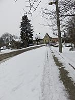 Třibřichy