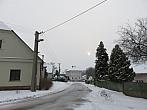 Třibřichy