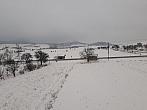 Podsedice