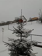 Skalité