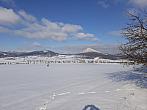 Podsedice
