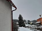 Olešná