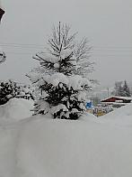 Skalité