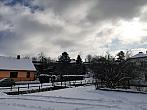 Olešná