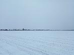Císařov