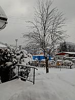 Skalité