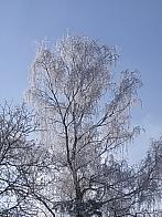 Nezbavětice