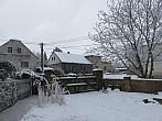 Třibřichy