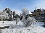 Třibřichy