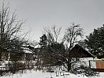 Olešná