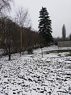 Horní Dunajovice 173