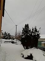 Skalité