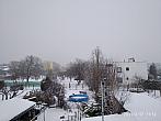 Hořice - Libonice