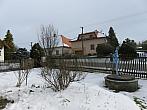 Třibřichy