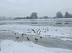 Neratovice