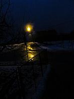 Třibřichy