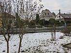 Třibřichy