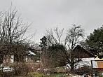 Olešná