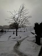 Skalité