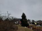 Olešná