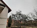 Olešná