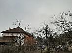 Olešná