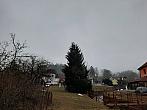 Olešná
