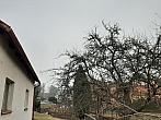 Olešná