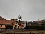Olešná
