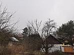 Olešná