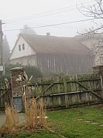 Třibřichy