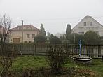 Třibřichy