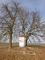 Pacov