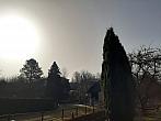 Olešná