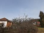 Olešná