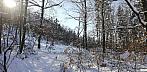 Jirkov