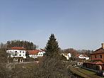 Olešná