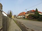 Třibřichy
