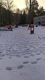 Jirkov